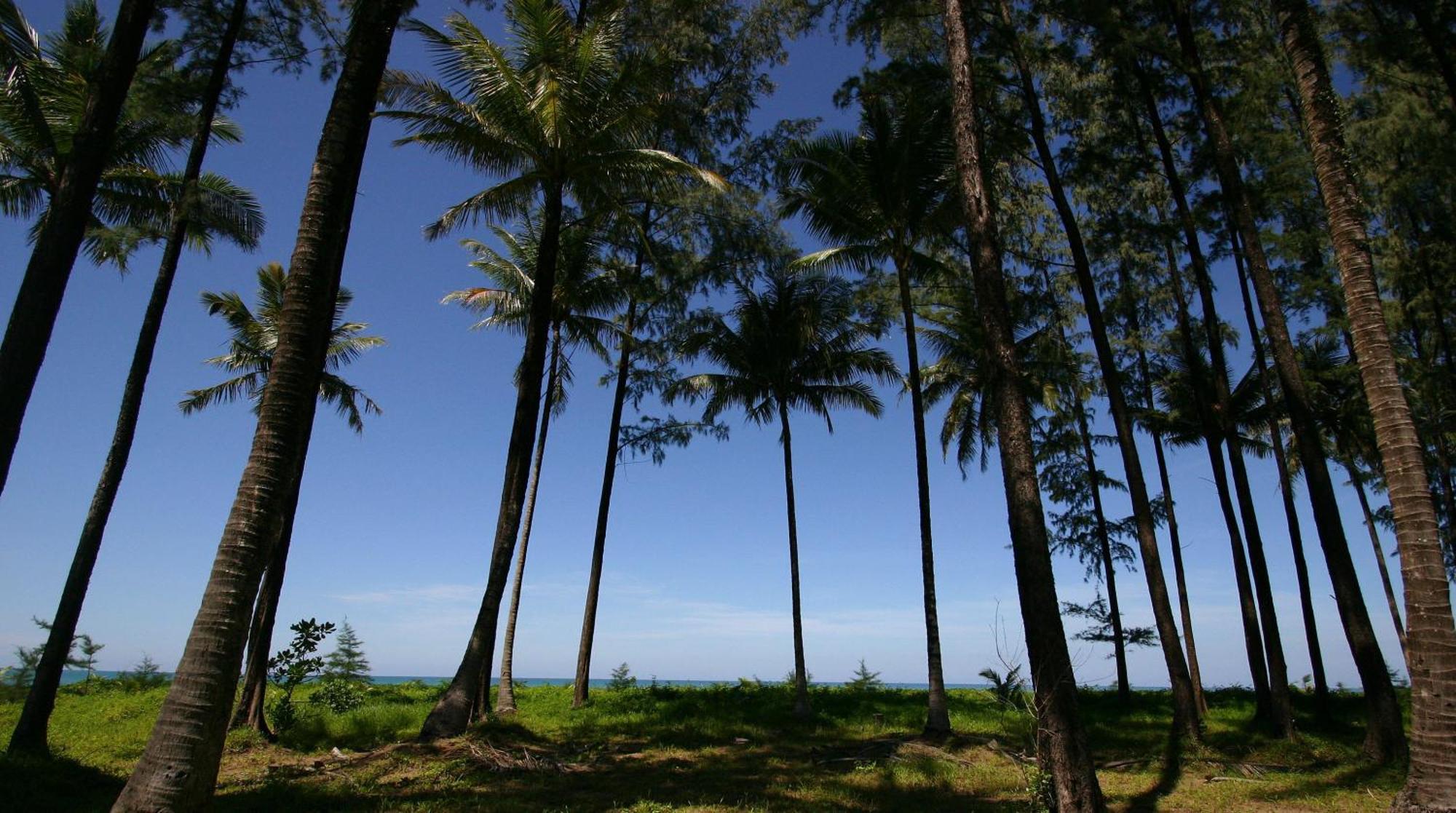 Khaolak Blue Lagoon Resort - Sha Extra Plus Καο Λακ Εξωτερικό φωτογραφία